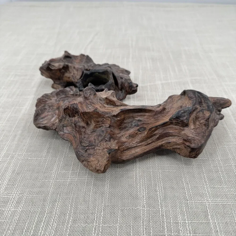 Natural Burl Wood Art Sculpture Candle Holder Decor